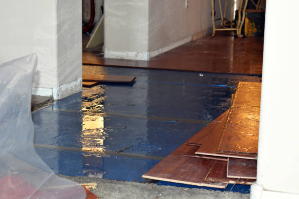 Professional Basement Flood Cleanup technician working in Holbrook, AZ